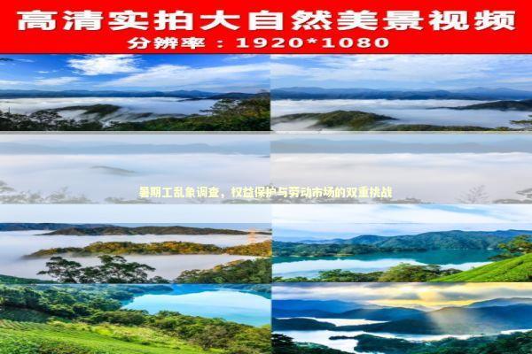 暑期工乱象调查，权益保护与劳动市场的双重挑战