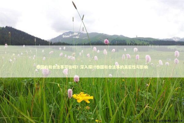 泰国的和合法事可信吗？深入探讨泰国和合法事的真实性与影响