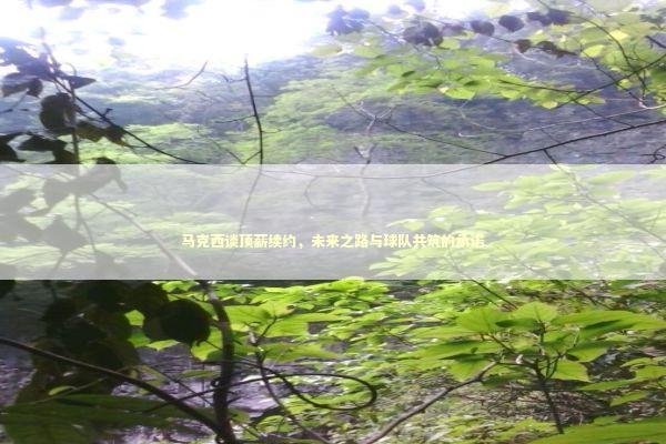 马克西谈顶薪续约，未来之路与球队共筑的承诺