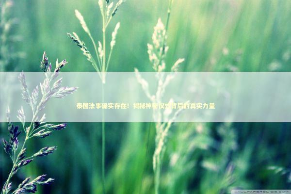 泰国法事确实存在！揭秘神秘仪式背后的真实力量