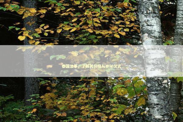泰国法事，了解其价格与神秘仪式