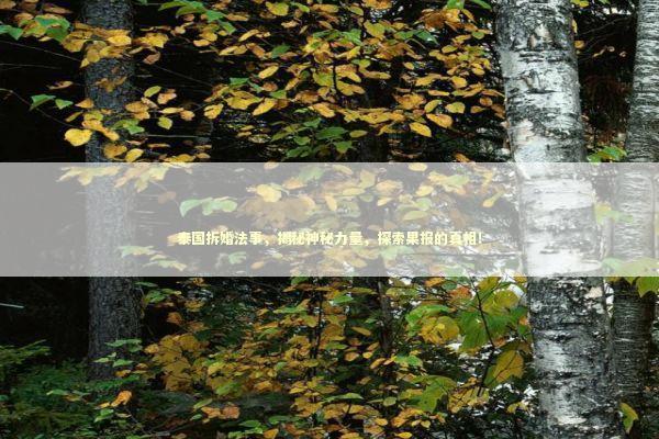 泰国拆婚法事，揭秘神秘力量，探索果报的真相！