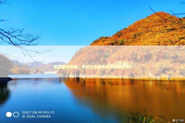 泰国墓地情降，爱的力量是否真能穿越阴阳？