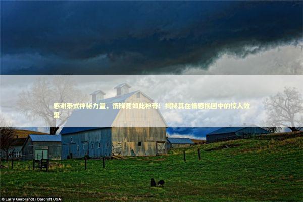 感谢泰式神秘力量，情降竟如此神奇！揭秘其在情感挽回中的惊人效果