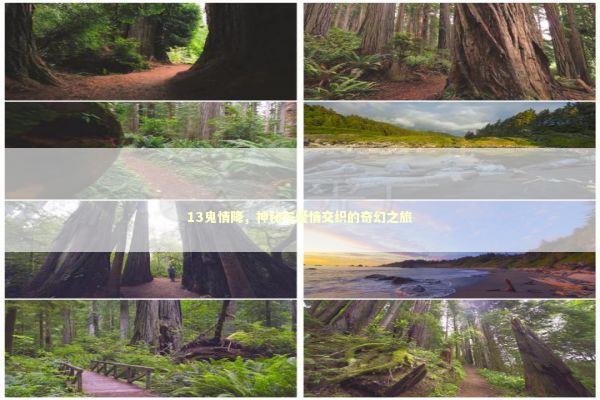 13鬼情降，神秘与爱情交织的奇幻之旅