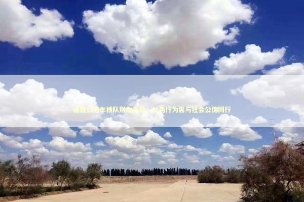 通报公务车插队别车事件，公务行为需与社会公德同行
