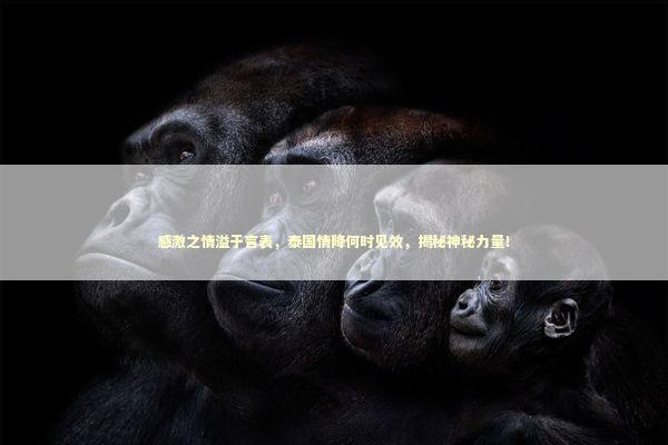 感激之情溢于言表，泰国情降何时见效，揭秘神秘力量！