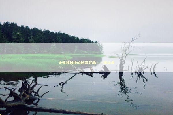 未知领域中的秘密武器——降头术