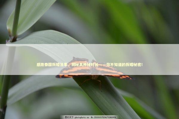 感激泰国拆婚法事，揭秘其神秘时长——你不知道的拆婚秘密！