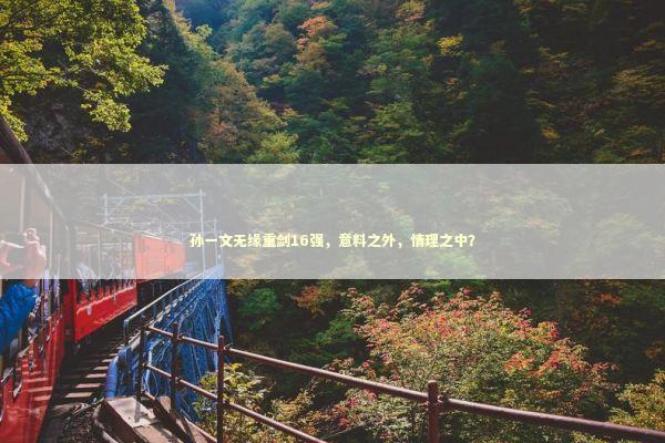 孙一文无缘重剑16强，意料之外，情理之中？