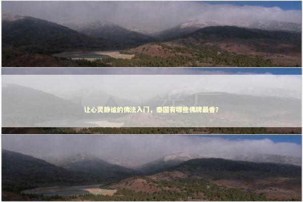 让心灵静谧的佛法入门，泰国有哪些佛牌最香？