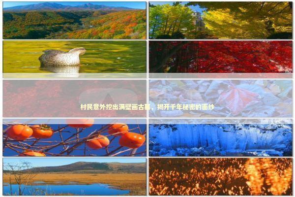 村民意外挖出满壁画古墓，揭开千年秘密的面纱