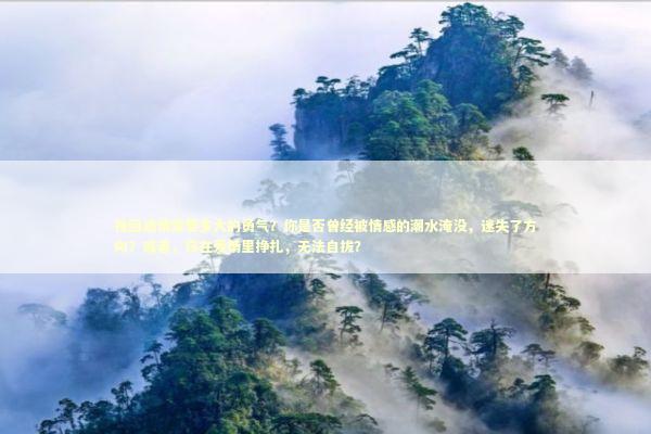 挽回感情需要多大的勇气？你是否曾经被情感的潮水淹没，迷失了方向？或者，你在爱情里挣扎，无法自拔？