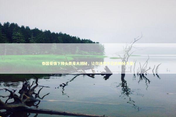 泰国爱情下降头费用大揭秘，让你迷恋不已的神秘力量！
