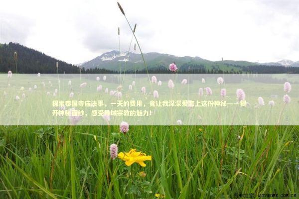 探索泰国寺庙法事，一天的费用，竟让我深深爱恋上这份神秘——揭开神秘面纱，感受异域宗教的魅力！