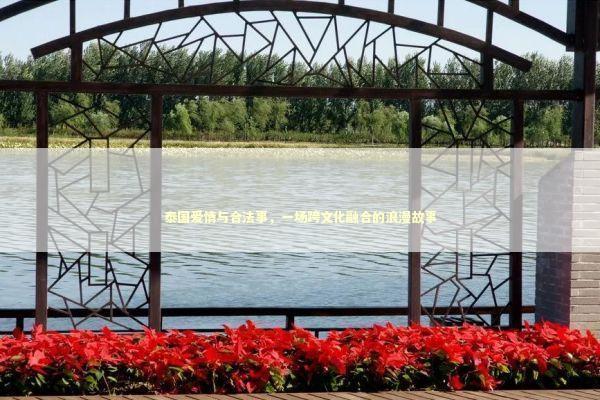 泰国爱情与合法事，一场跨文化融合的浪漫故事