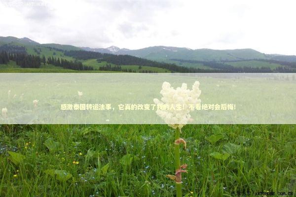 感激泰国转运法事，它真的改变了我的人生！不看绝对会后悔！