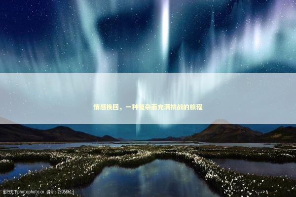 情感挽回，一种复杂而充满挑战的旅程