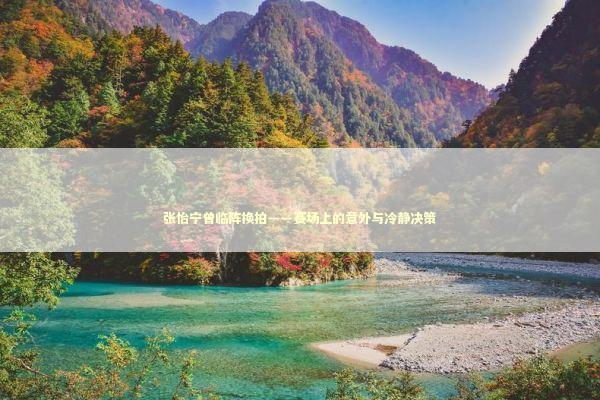 张怡宁曾临阵换拍——赛场上的意外与冷静决策