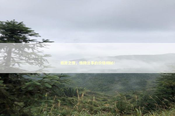 感激之情，情降法事的价格揭秘！