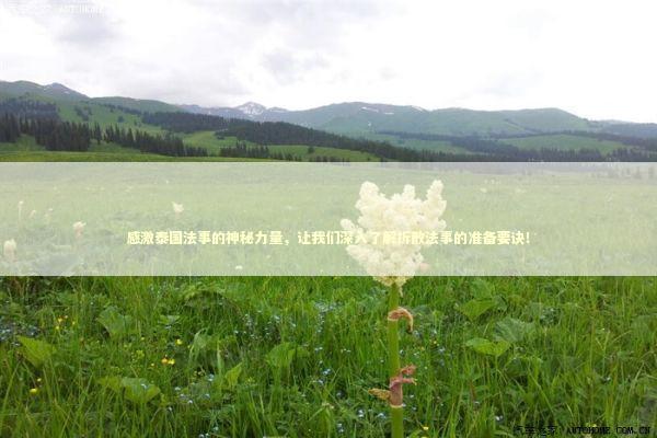 感激泰国法事的神秘力量，让我们深入了解拆散法事的准备要诀！