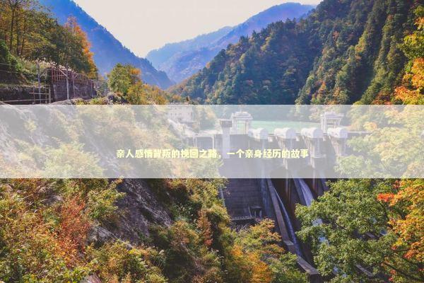 亲人感情背叛的挽回之路，一个亲身经历的故事