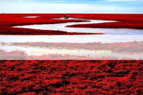 感激泰国神秘力量，墓地血咒情降，竟让我的生活焕发新生！