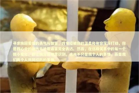 寻求挽回爱情的勇气与智慧，我曾经被你的温柔和包容深深打动，你是我心中的创伤无法用语言完全表达。然而，在这段关系中的每一个微小变化，都让我深深地意识到，这并不只是我个人的事情，而是我们两个人共同经历的事情。