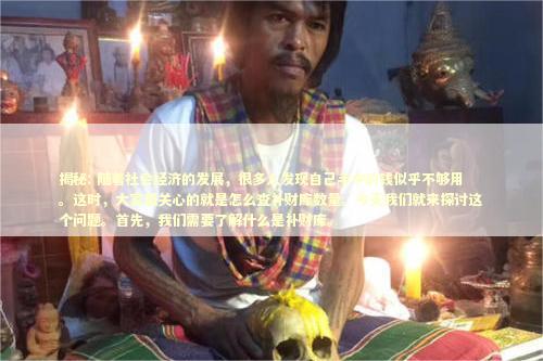 揭秘: 随着社会经济的发展，很多人发现自己手中的钱似乎不够用。这时，大家最关心的就是怎么查补财库数量。今天我们就来探讨这个问题。首先，我们需要了解什么是补财库。