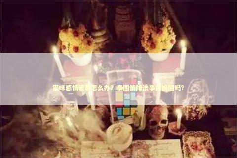 猫咪感情破裂怎么办？泰国情降法事能挽回吗？